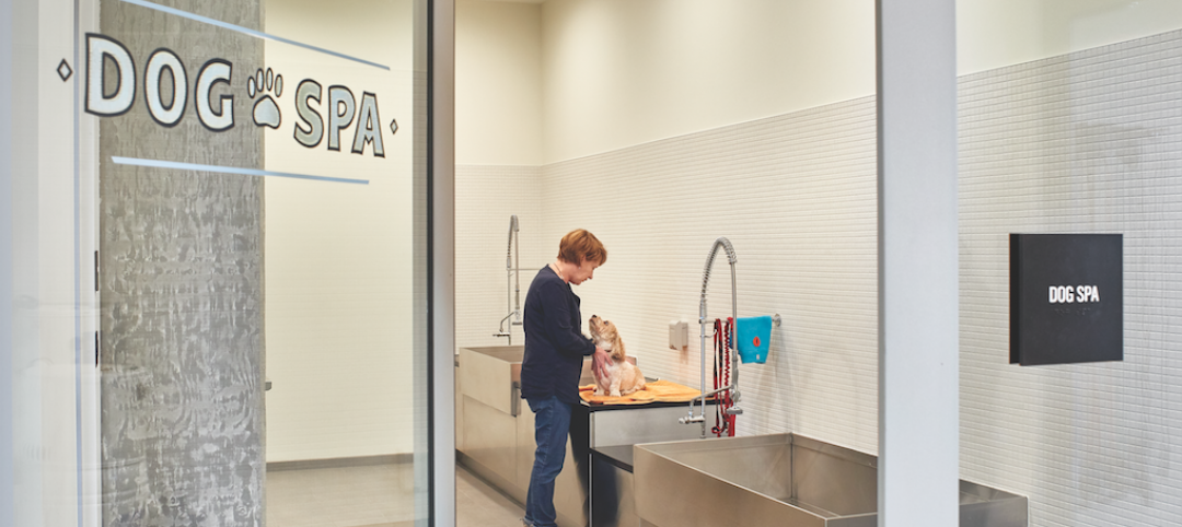 The 240-sf dog spa at Seattle’s AMLI Arc apartment tower, photo by Benjamin Benschneider