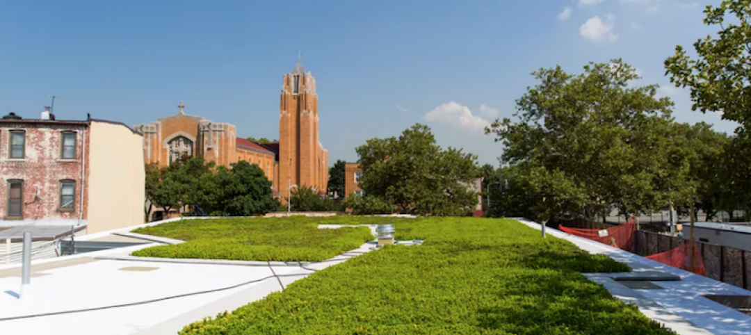 The green roof at the Windsor Terrace Library