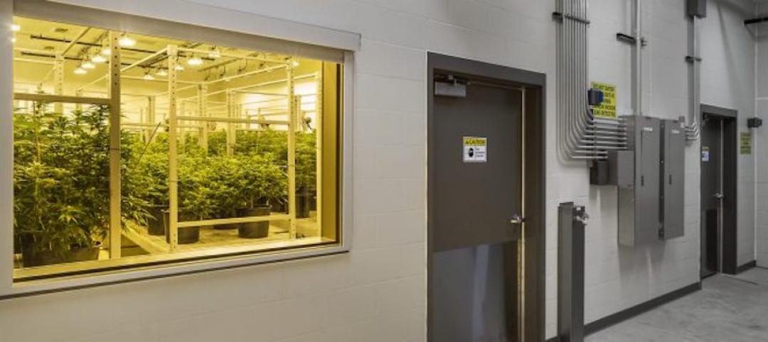 Cannabis grow facility