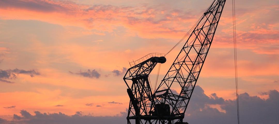 Crane at sunset