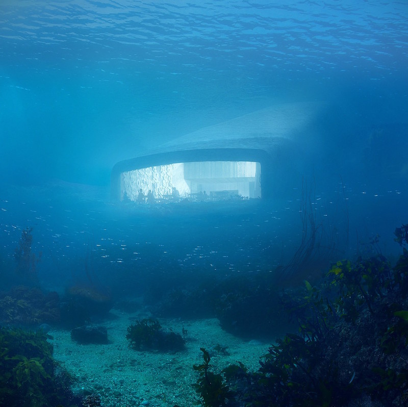 Under resting on the seabed