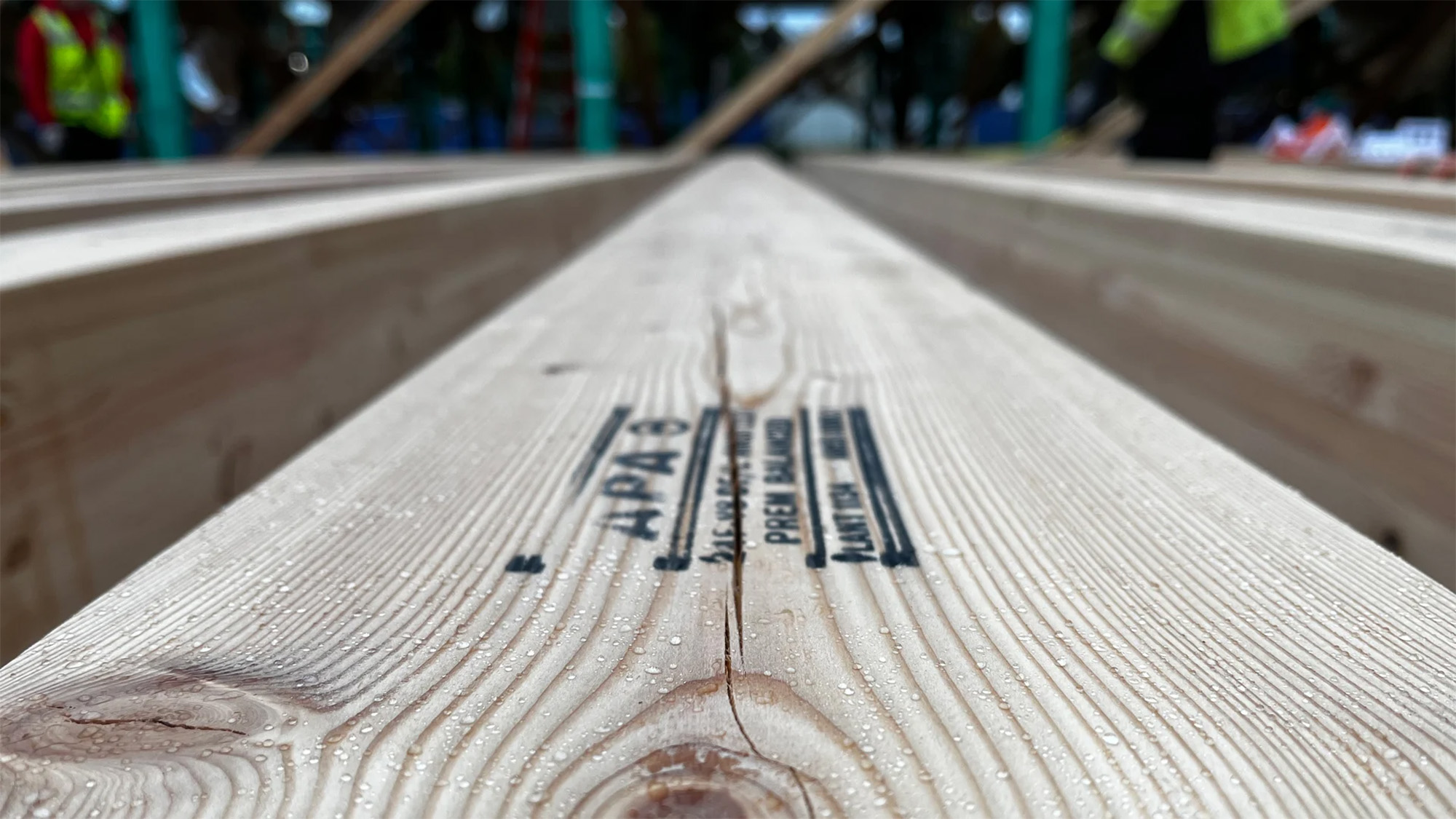 Water mitigation on mass timber wood