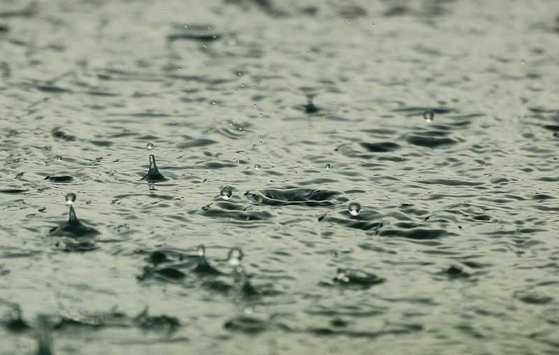 Rain falling into a puddle