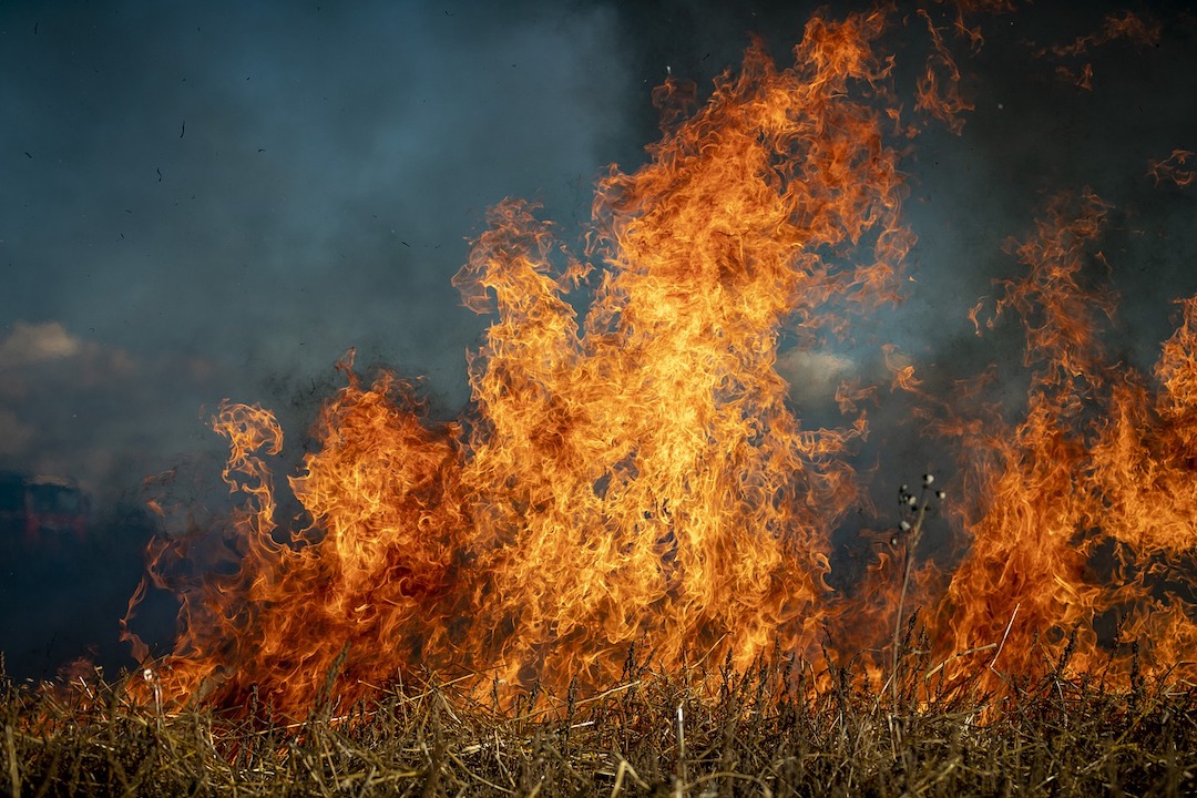 Wildfire in a field