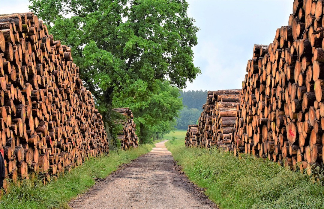 Wood building materials